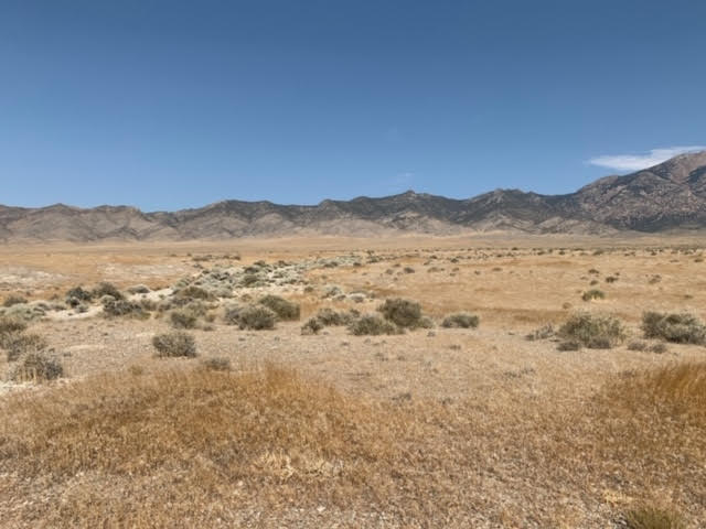 58.21 Acres on the Nevada/Utah State Lines have one foot in Nevada & One foot in Utah photo 11