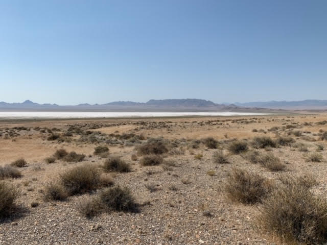 58.21 Acres on the Nevada/Utah State Lines have one foot in Nevada & One foot in Utah photo 10