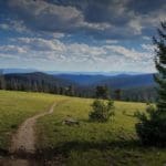 Thumbnail of 40.00 ACRES IN GORGEOUS SAGUACHE CO, COLORADO ~ SCENIC MOUNTAIN VIEWS ~ BIG GAME ~ WATER WELL! Photo 2