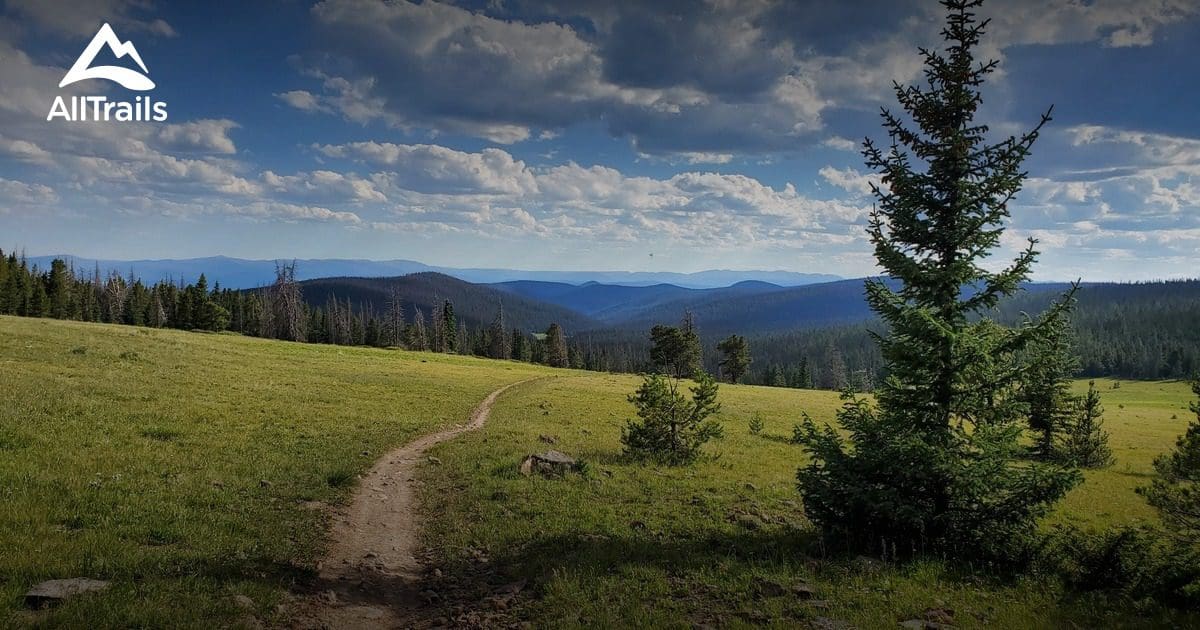 40.00 ACRES IN GORGEOUS SAGUACHE CO, COLORADO ~ SCENIC MOUNTAIN VIEWS ~ BIG GAME ~ WATER WELL! photo 2