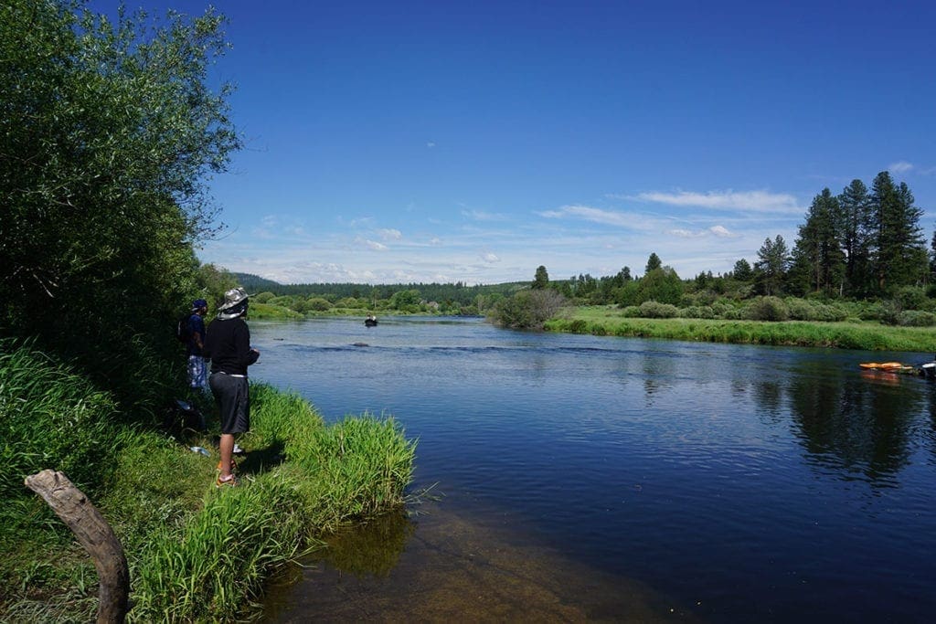 Large view of Lot on Williamson River World Class Blue Ribbon Fishing Photo 5