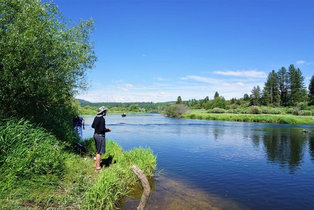 Large view of Lot on Williamson River World Class Blue Ribbon Fishing Photo 7